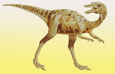 Saltopus Dinosaur 