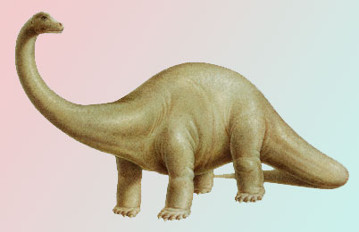 Diplodocus Dinosaur 