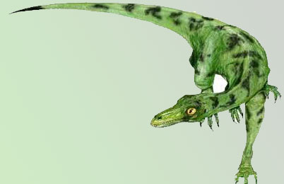 Eoraptor Dinosaur