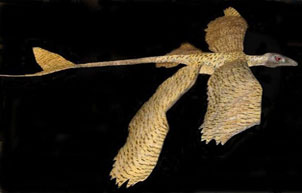 Feathered Dinosaurs
