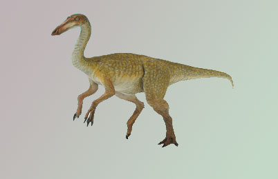 Gallimimus Dinosaur