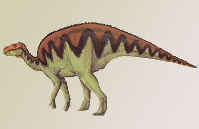  Hadrosaurids Dinosaur 