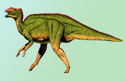  Hadrosaurus Dinosaur 