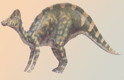 Hypacrosaurus Dinosaur 