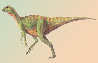  Hypsilophodon Dinosaur 