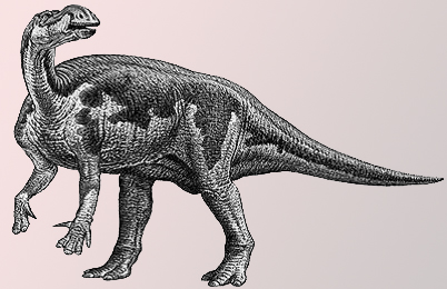 Muttaburrasaurus Dinosaur 