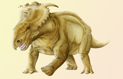 Pachyrhinosaurus Dinosaur 