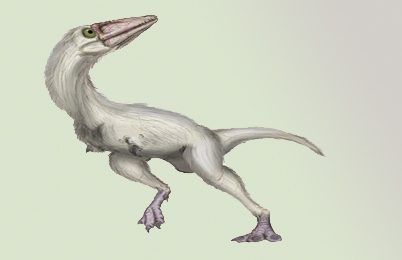 Parvicursor Dinosaur 