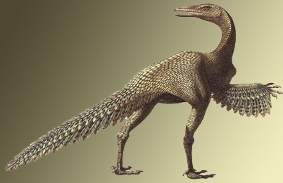 Protoavis Dinosaur 