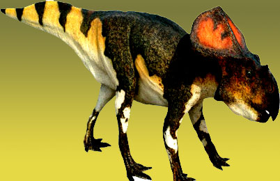 Protoceratops Dinosaur 