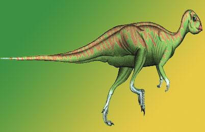 Qantassaurus Dinosaur 