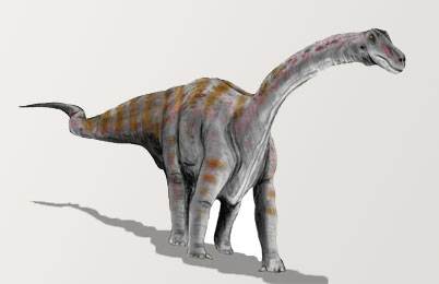 Rapetosaurus Dinosaur 