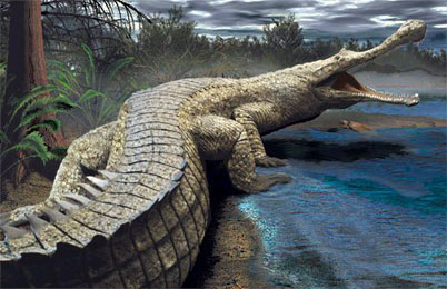 Sarcosuchus Dinosaur 