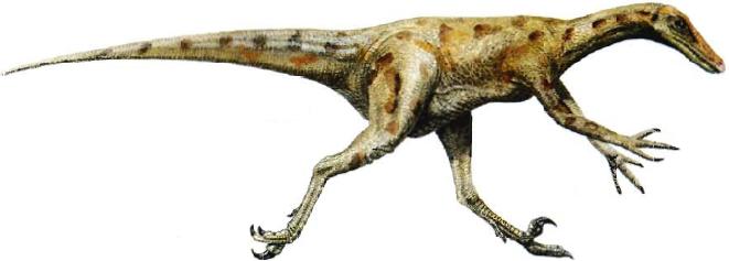 Baryonyx Dinosaur