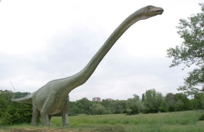 Seismosaurus Dinosaur 