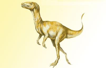 Staurikosaurus Dinosaur 