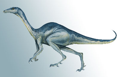 Stenonychosaurus Dinosaur 