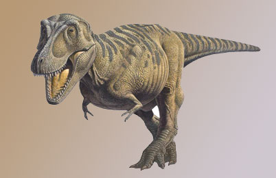 Tarbosaurus Dinosaur 