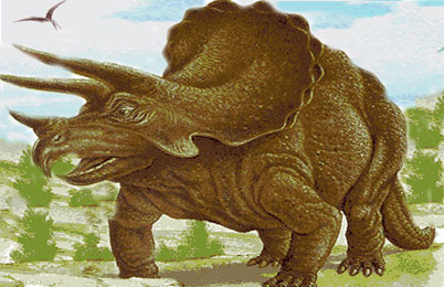 Triceratops Dinosaur, facts - Triceratops fossil
