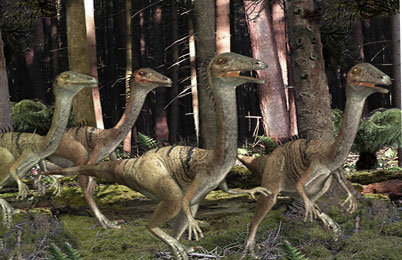 Troodon Dinosaur 