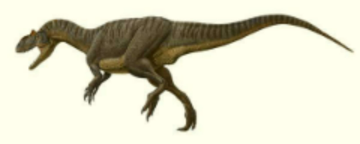 walgettosuchus dinosaur