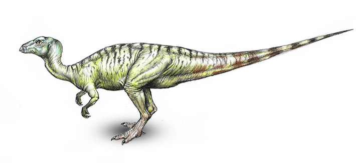 Yueosaurus Dinosaur