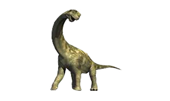 aegyptosaurus