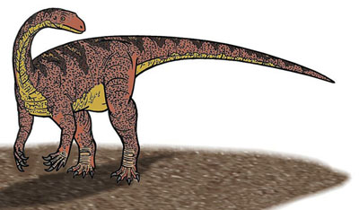 ammosaurus