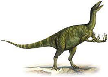 ammosaurus