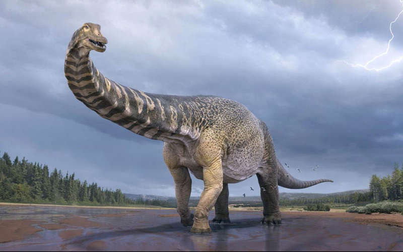 bruhathkayosaurus