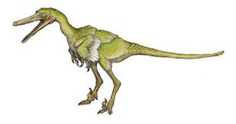 buitreraptor