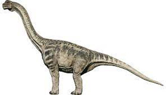 camarasaurus