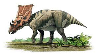 chasmosaurus
