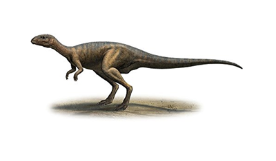 dryosaurus