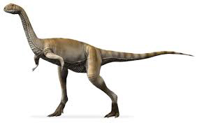 elaphrosaurus