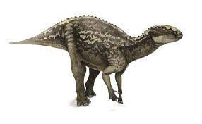fukuisaurus