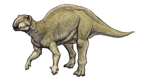fukuisaurus