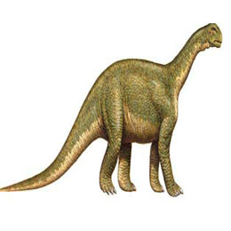 jainosaurus