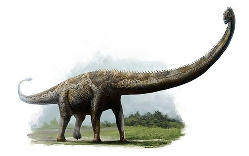 mamenchisaurus