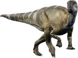 muttaburrasaurus
