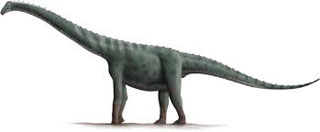 rinconsaurus