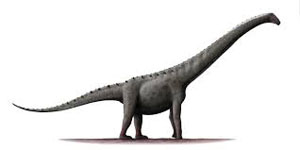 rinconsaurus