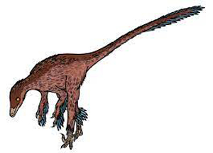 stenonychosaurus