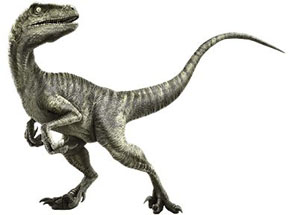 velociraptor