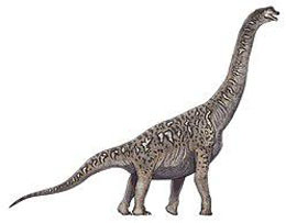 venenosaurus