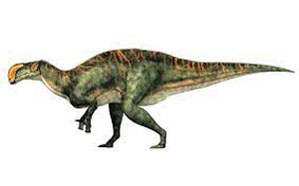 zephyrosaurus