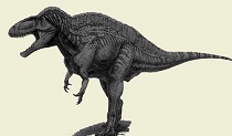 Acrocanthosaurus dinosaur