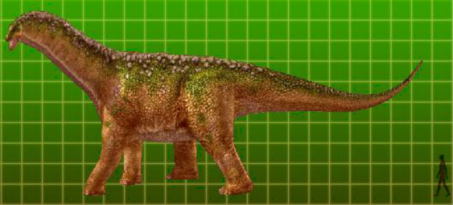 Isisaurus Dinosaur
