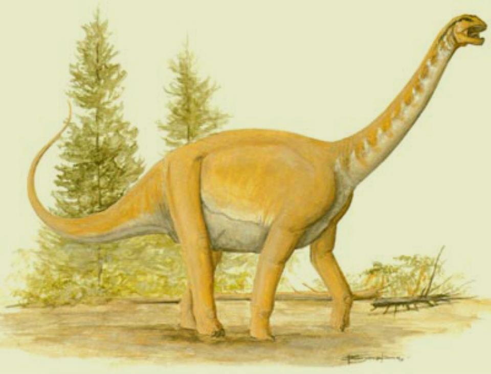 Janenschia Dinosaur