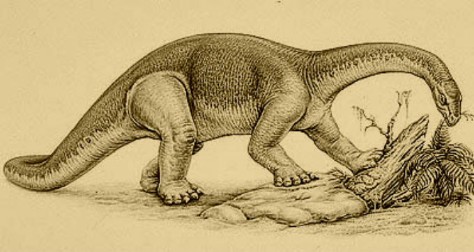 Kotasaurus Dinosaur